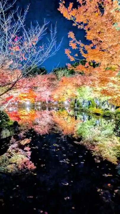 東寺(教王護国寺)(京都府)