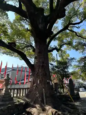 糸我稲荷神社(和歌山県)
