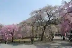 清雲寺(埼玉県)