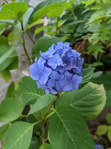 善知鳥神社(青森県)