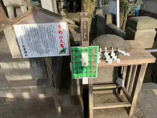 松原神社の狛犬