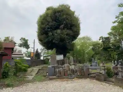 竜興寺(千葉県)