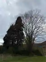 市ノ渡稲荷神社(北海道)