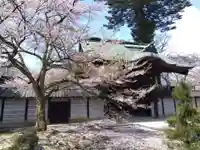 毫攝寺(福井県)