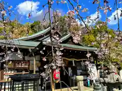 松ヶ崎大黒天 妙圓寺（妙円寺）(京都府)