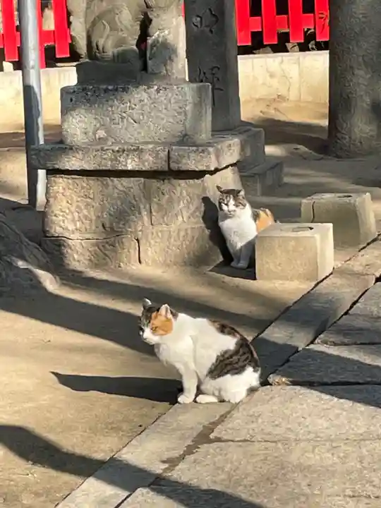 大津神社(大阪府)