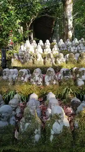 今熊野観音寺(京都府)