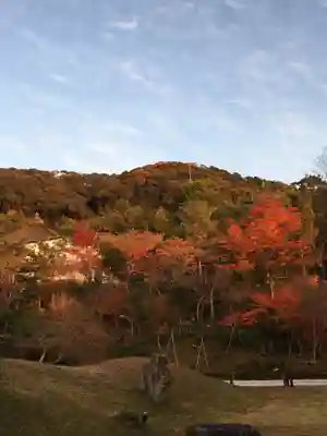 高台寺（高台寿聖禅寺・高臺寺）(京都府)