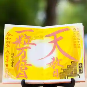 諫早神社(九州総守護 四面宮)の御朱印 2022年06月10日(金)〜(2022年06月06日(月) 13時32分29秒投稿)