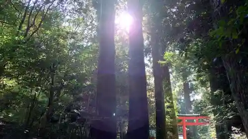 箱根神社(神奈川県)