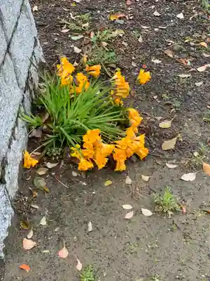 諏訪神社の自然