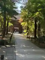 平林寺の{uncategorized: "未分類", other: "その他", undefined: "問題あり", building: "その他建物", grave: "お墓", sacred_gate: "鳥居", guardian: "狛犬", statue: "像", buddha: "仏像", history: "歴史", nature: "自然", garden: "庭園", animal: "動物", pagoda: "塔", temizu: "手水舎", mountain_gate: "山門・神門", sanctuary: "本殿・本堂", subordinate: "末社・摂社", art: "芸術", scenery: "景色", jizo: "地蔵", ema: "絵馬", goshuin: "御朱印", omikuji: "おみくじ", items: "授与品その他", amulet: "お守り", goshuincho: "御朱印帳", eats: "食事", festival: "お祭り", votive_dance: "神楽", shichigosan: "七五三参", wedding: "結婚式", experience: "体験その他", initially: "初詣", around: "周辺", anti_infection: "感染症対策"}