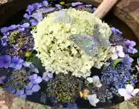 真言宗 善通寺派 薬王寺(香川県)