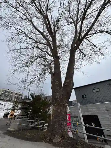 龍宮神社(北海道)