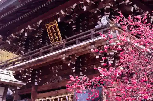 宮地嶽神社(福岡県)