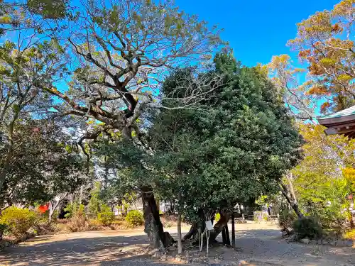 鹿苑神社の自然