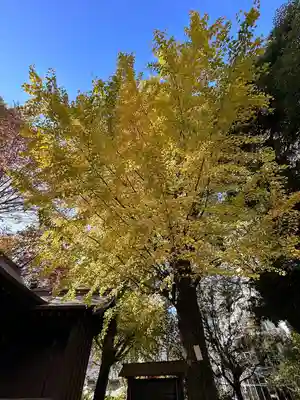 金王八幡宮(東京都)