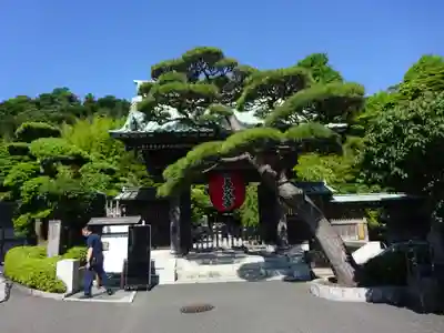 長谷寺の山門・神門