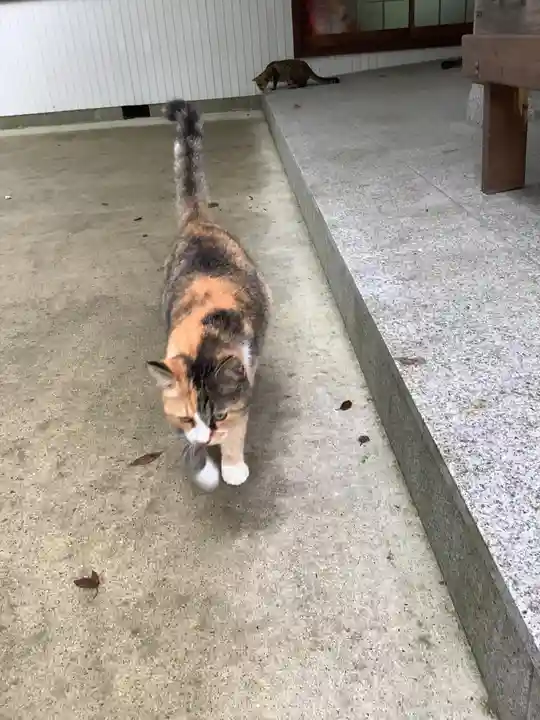 玉野御嶽神社の動物