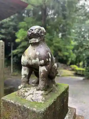 小藤神社(栃木県)