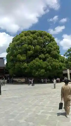 明治神宮(東京都)