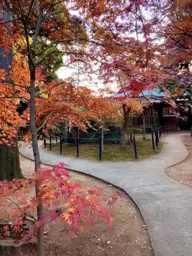 本土寺(千葉県)