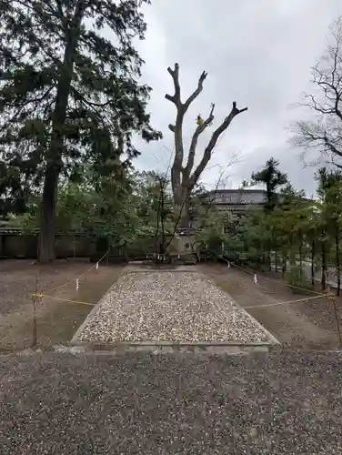 今宮神社(京都府)