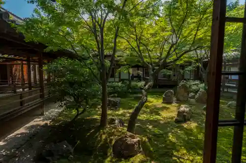 建仁寺（建仁禅寺）(京都府)