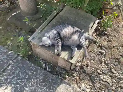 回向院(東京都)