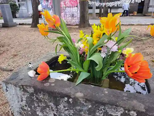 春日神社(徳島県)