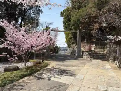 安岡寺(大阪府)