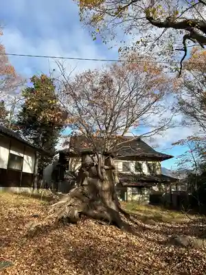 勢伊多賀神社(長野県)