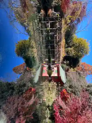 富士山本宮浅間大社(静岡県)