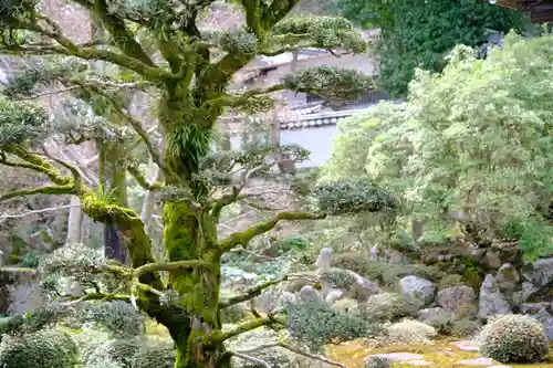 金剛寺の庭園