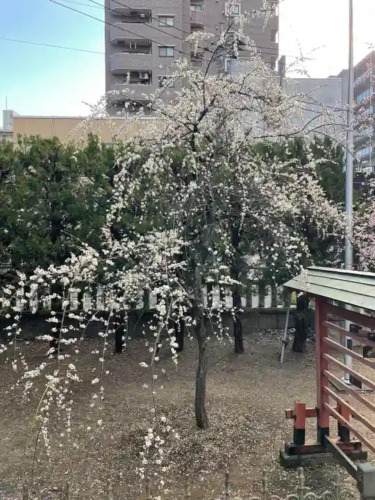 川口神社(埼玉県)