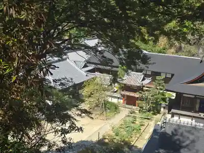 岡寺(龍蓋寺)(奈良県)