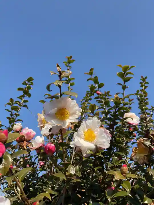 正眼寺(愛知県)