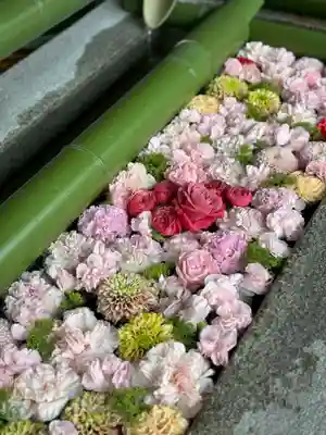 水無瀬神宮(大阪府)