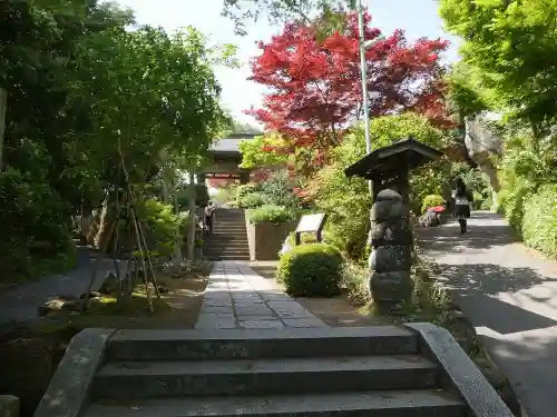 海蔵寺の庭園