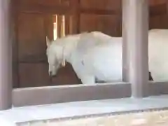 伊勢神宮内宮（皇大神宮）の動物