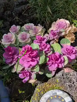 一心寺(東京都)