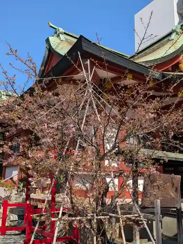 東神奈川熊野神社(神奈川県)