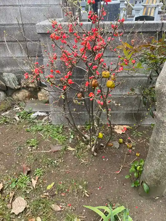 大法寺(神奈川県)