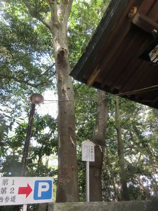 検見川神社の自然