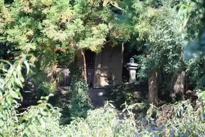 猫稲荷神社の景色