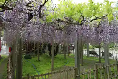 惣社神社(滋賀県)