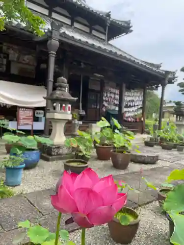 生蓮寺(奈良県)