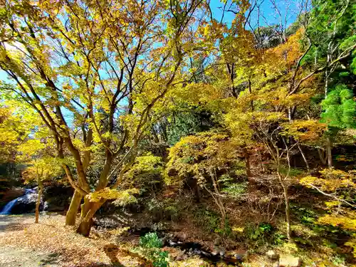 大峯不動尊の自然