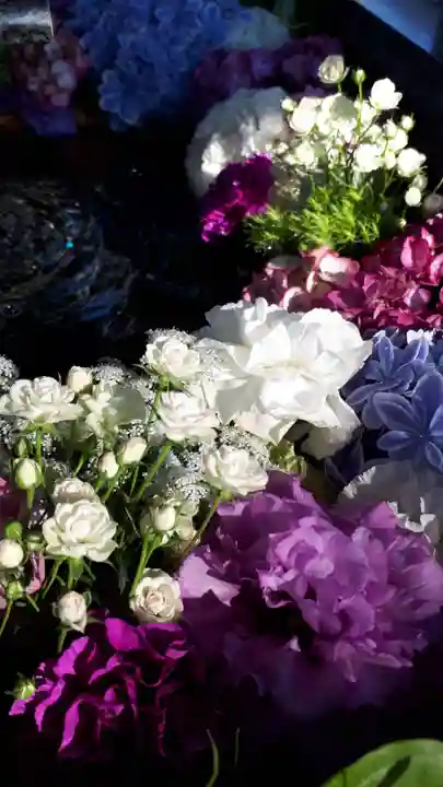 新琴似神社の手水舎