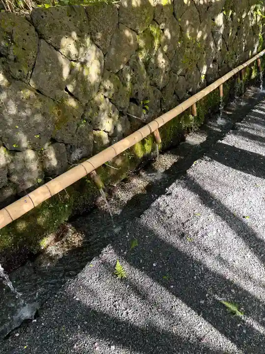 富士山本宮浅間大社(静岡県)
